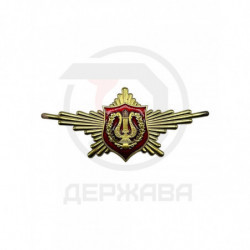 Нагрудный знак РПК (рота...