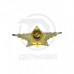 Нагрудный знак РПК (рота почетного караула с лирой) ММД купить
