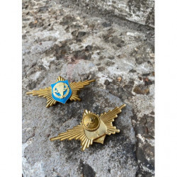 Знак Парадный расчёт ВДВ Российская армия Тяжелый Эмаль купить