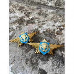 Знак Парадный расчёт ВДВ Российская армия Тяжелый Эмаль купить