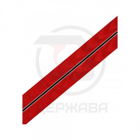 Лента к медали за зимнюю кампанию, Германия